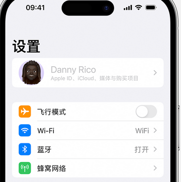 连山appleID维修服务iPhone设置中Apple ID显示为灰色无法使用 