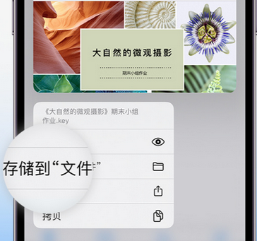 连山apple维修中心分享iPhone文件应用中存储和找到下载文件