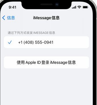 连山apple维修iPhone上无法正常发送iMessage信息 