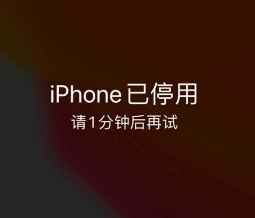 连山苹果手机维修分享:iPhone 显示“不可用”或“已停用”怎么办？还能保留数据吗？ 