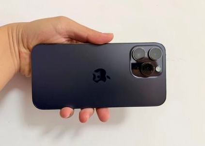 连山苹果维修点分享iPhone 14 Pro Max黑屏少见故障盘点 