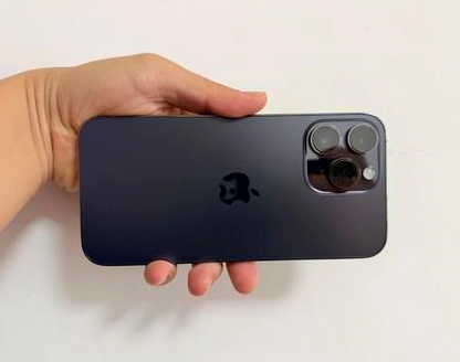 连山苹果维修点分享iPhone 14 Pro Max发烫多重诱因剖析 